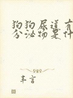 狗狗尿道有黄色分泌物是什么原因?