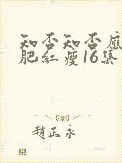 知否知否应是绿肥红瘦16集