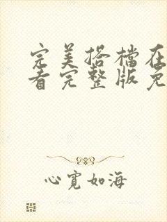 完美搭档在线观看完整版免费的封面