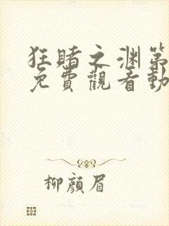 狂赌之渊第一季免费观看动漫高清封面