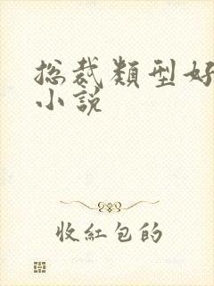 总裁类型好看的小说