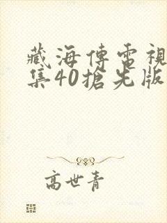 藏海传电视剧全集40抢先版