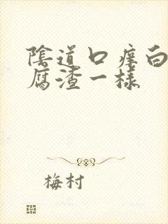 阴道口痒白带豆腐渣一样