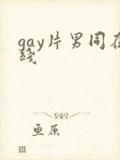 gay片男同在线