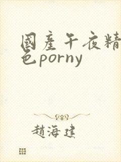 国产午夜精品九色porny