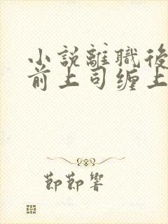 小说离职后我被前上司缠上了