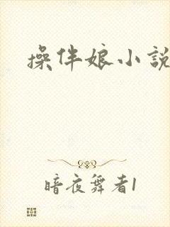 操伴娘小说封面