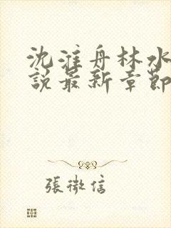 沈淮舟林水伊小说最新章节更新内容