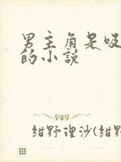 男主角是吸血鬼的小说