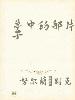 梦中的那片海黑子