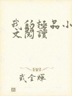 我的极品小姨全文阅读