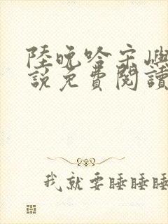 陆晚吟宋屿风小说免费阅读最新章节