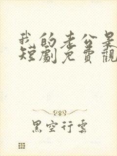 我的老公是总裁短剧免费观看全集