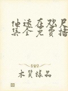 他远在咫尺80集全免费播放