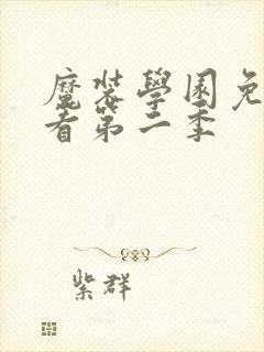 魔装学园免费观看第二季