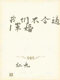 我们不合适1v1军婚