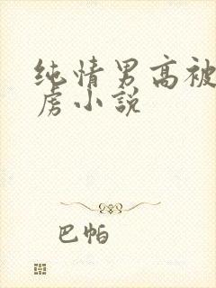 纯情男高被我俘虏小说封面