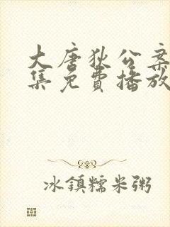 大唐狄公案48集免费播放电视剧封面