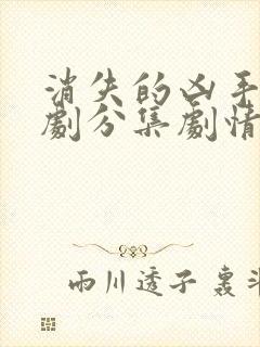 消失的凶手电视剧分集剧情介绍