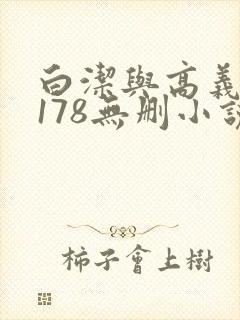 白洁与高义1～178无删小说封面