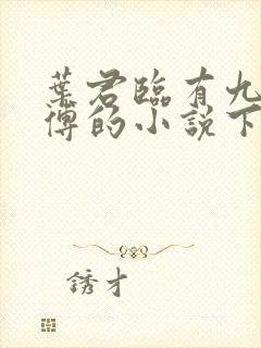 叶君临有九个师傅的小说下载封面