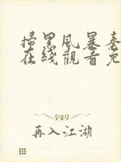 扫黑风暴秦昊版在线观看免费完整版