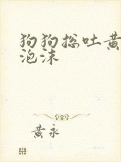 狗狗总吐黄水带泡沫封面