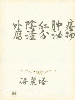 外阴红肿瘙痒豆腐渣分泌物