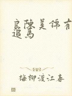 良陈美锦有声书追马