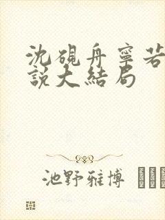 沈砚舟宁若曦小说大结局