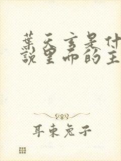 叶天玄是什么小说里面的主角