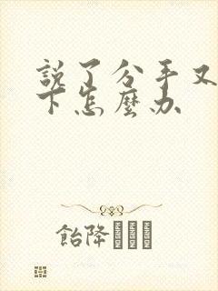 说了分手又放不下怎么办封面