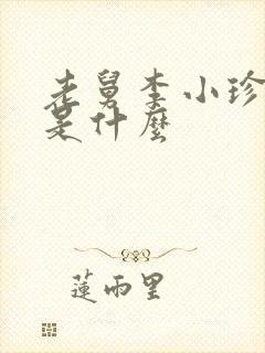 老舅李小珍结局是什么