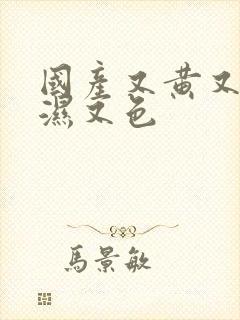 国产又黄又大又湿又色