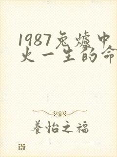 1987兔炉中火一生的命运封面