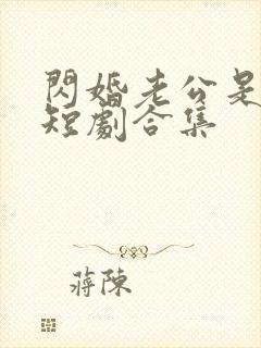 闪婚老公是豪门短剧合集