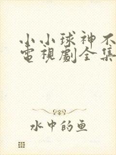 小小球神不好惹电视剧全集免费封面