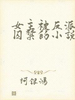 女主被反派强迫囚禁的小说封面