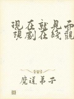 现在就见面吧电视剧在线观看免费高清