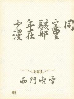 少年骇客同人动漫在哪里