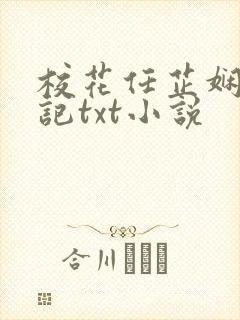 校花任芷娴的日记txt小说