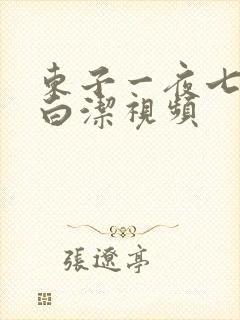 东子一夜七次干白洁视频封面