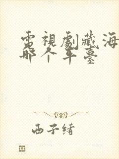 电视剧藏海传在哪个平台