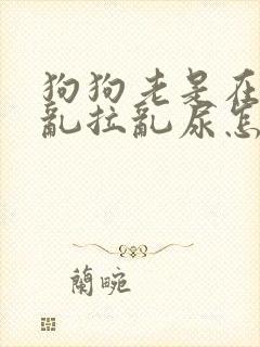 狗狗老是在家里乱拉乱尿怎么办