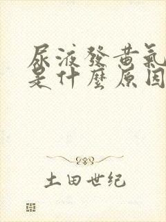 尿液发黄气味重是什么原因