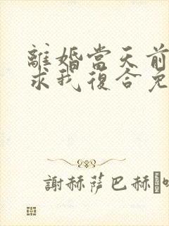 离婚当天前夫跪求我复合免费阅读