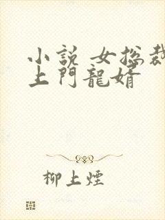 小说 女总裁的上门龙婿