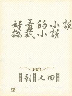 好看的小说推荐总裁小说