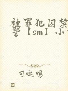 被罪犯囚禁的刑警【sm】小说