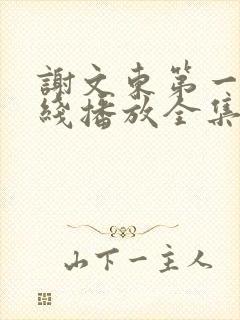 谢文东第一季在线播放全集免费观看封面